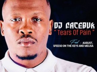 DJ Facebuk – Tears of Pain Ft. August Melisa Sfiso On The Keys
