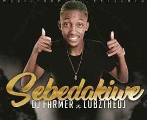 Dj Farmer SA & LubzTheDj Sebedakiwe Mp3 Download