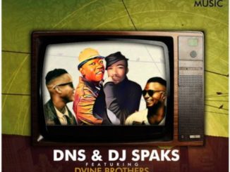 DOWNLOAD Dns, DJ Sparks & Dvine Brothers Gold Digger EP ZIP