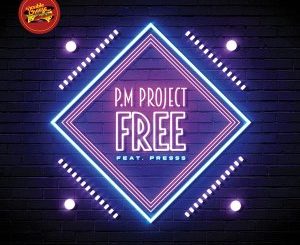 DOWNLOAD P.M Project & De Mogul SA Free (De Mogul SA Misty-Eyed Remix) Mp3