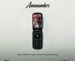 Shaun101 AmaNumber ft. Stilo Magolide Mp3 Download