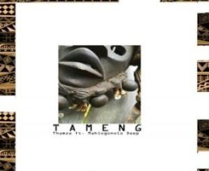 Thamza & Mahlogonolo Deep Tameng Mp3 Download