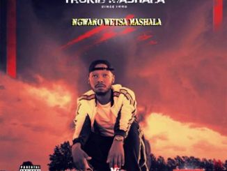 Trokid Mashala Nwano Wetsa Mashala Mp3 Download