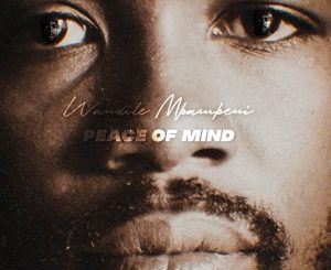 Wandile Mbambeni Peace of Mind Mp3 Download