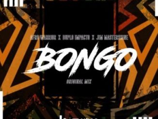 DOWNLOAD Afro Warriors, Jim MasterShine & Duplo Impacto Bongo Mp3