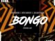 DOWNLOAD Afro Warriors, Jim MasterShine & Duplo Impacto Bongo Mp3