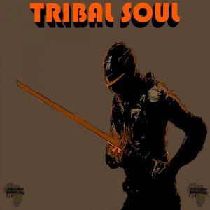 Download Tribal Soul Define Culture EP