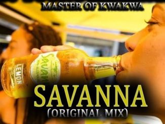 Dj young killer SA Savanna Mp3 Download