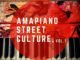 Entity MusiQ & Lil’Mo Amapiano Street Culture Vol. 1 Mp3 Download