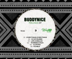 Buddynice Feelings Ep Download