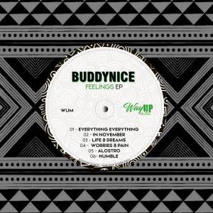 Buddynice Feelings Ep Download