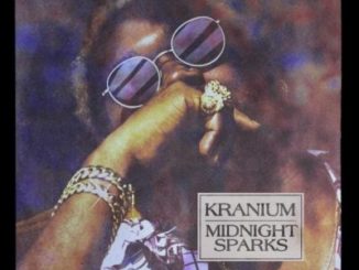 Kranium ft Ty Dolla $ign & Burna Boy Hotel Mp3 Download
