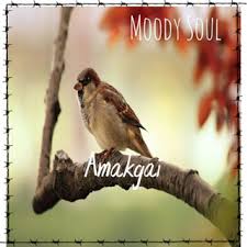 Moody Soul Amakgai (Amapiano Edit) Mp3 Download