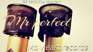 DOWNLOAD Mr Perfect & Hapas MusiQ Who Is Mr Perfect (Gwam Mix) Mp3