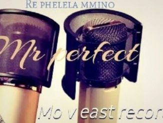 Mr Perfect & DJ M2C Ungowam Mp3 Download