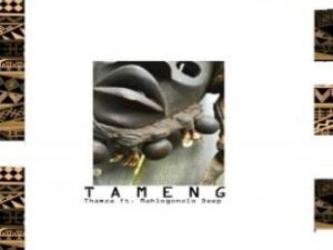 Thamza Tameng (Instrumental Mix) Ft. Mahlogonolo Deep Mp3 Download