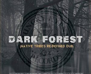 Warren Deep, Thexy LX, Jay Afro Dark Forest (Native Tribe’s Re-Defined Afro Remix) Mp3 Download