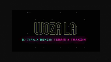 DJ Tira Woza La ft. Bhekzin Terris & Thakzin Video Mp3 Download
