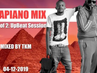 DJ TKM Amapiano Mix (Part 2 of 2) Mp3 Download ft. DJ Maphorisa, Mas Musiq, Music Fellas, Elusiveboy