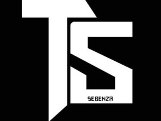 Team Sebenza Cpt Smirnoff Mp3 Download