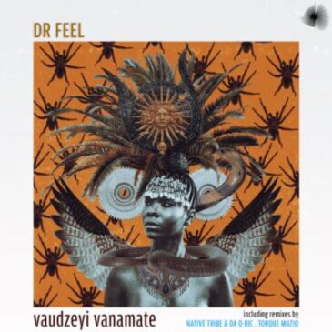 Dr Feel Vaudzeyi Vanamate EP Download Fakaza