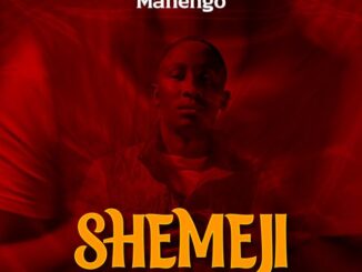 Manengo Shemeji Mp3 Download Fakaza