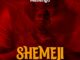 Manengo Shemeji Mp3 Download Fakaza