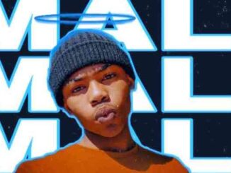 Prince Killa Mali ft. Shot killer & Mfana Omcane Mp3 Download Fakaza