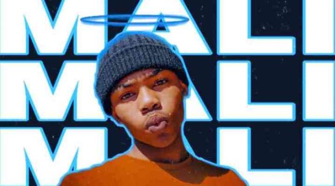 Prince Killa Mali ft. Shot killer & Mfana Omcane Mp3 Download Fakaza