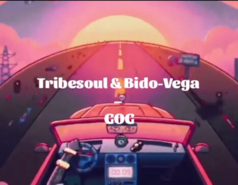 Tribesoul & Bido Vega GOG MP3 Download Fakaza