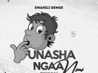 Swahili genge Unashangaa nini MP3 Download Fakaza