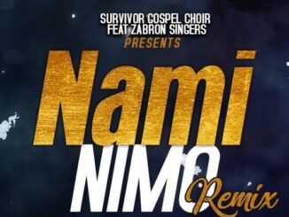 The Survivors Gospel Choir Ft. Zabron Singers NAMI NIMO (Remix) MP3 Download Fakaza