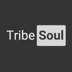 Tribesoul Turning Point (Main Mix) MP3 Download Fakaza