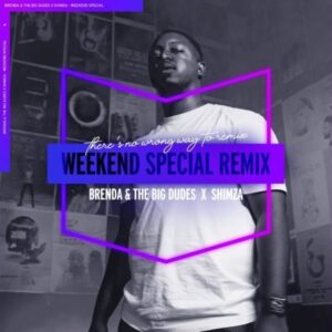 Brenda & The Big Dudes Weekend Special (Shimza Remix) Mp3 Download fakaza