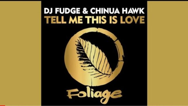 DJ Fudge Tell Me This Is Love Vocal Mix Chinua Hawk Mp3 Download Fakaza