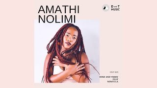 Dino & Terry Amathi Nolimi Ft Nomvula SA Mp3 Download Fakaza