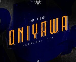 Dr Feel Oniyawa (Original Mix) Mp3 Download Fakaza