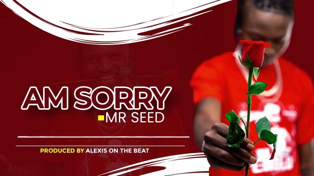 MR Seed AM SORRY Mp3 Download Fakaza