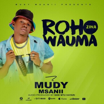 Mudy Msanii Roho Zinawauma Mp3 Download Fakaza