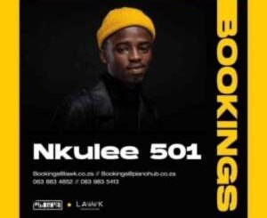 Nkulee501 Suffle Ft Skroef28 & Tribesoul Mp3 Download fakaza