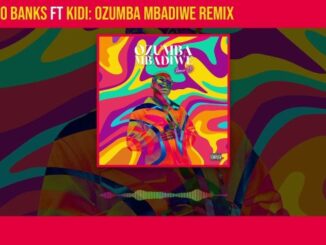 Reekado Banks & Lady Du Ozumba Mbadiwe (Remix) Mp3 Dwnload Fakaza