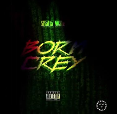 Shatta Wale Born Crey Mp3 Download Fakaza