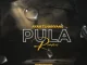 Download Ayah Tlhanyane Pula (Remixes) Album Fakaza