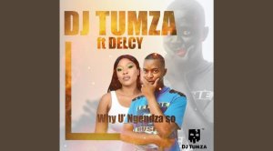 DJ Tumza Why U’ Ngendza So Ft Delcy Mp3 Download Fakaza