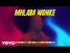 De Mthuda ft Sino Msolo Mhlaba Wonke (Visualizer) Mp3 Download Fakaza