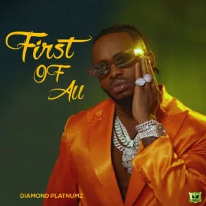 Diamond Platnumz Fresh Lyrics ft Focalistic, Costa Titch & Pabi Cooper