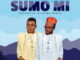 Download Don Malume Sumo Mi MP3 Fakaza