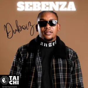 Download Du Boiz Sebenza MP3 Fakaza