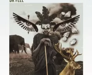 Download Dr Feel Serengeti EP Fakaza