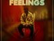 King Willie Ft. Aslay Feeling Mp3 Download fakaza